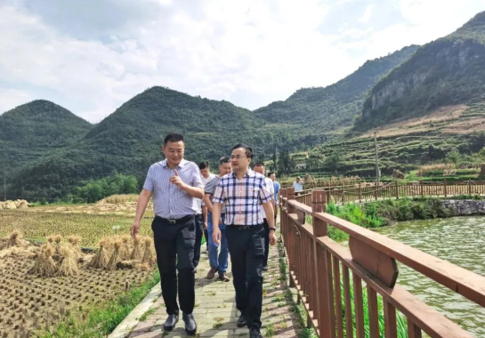 畢節(jié)工業(yè)職業(yè)技術(shù)學(xué)院黨委書記李涌、院長邱國援率隊到鄉(xiāng)村振興駐村聯(lián)系工作點調(diào)研