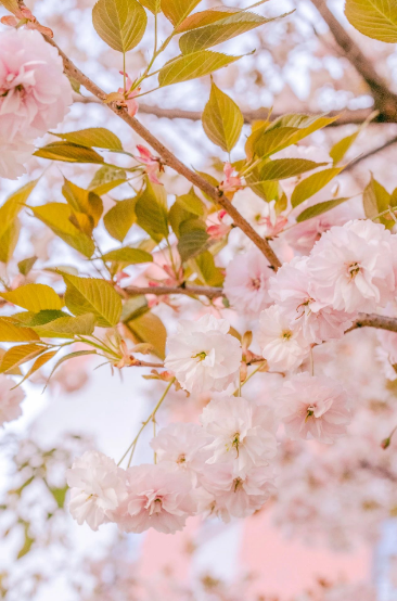 這一陣春風(fēng)，讓工職院學(xué)子為之心動